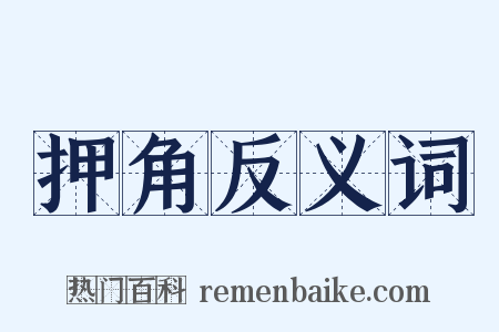 押角反义词是什么意思的图片